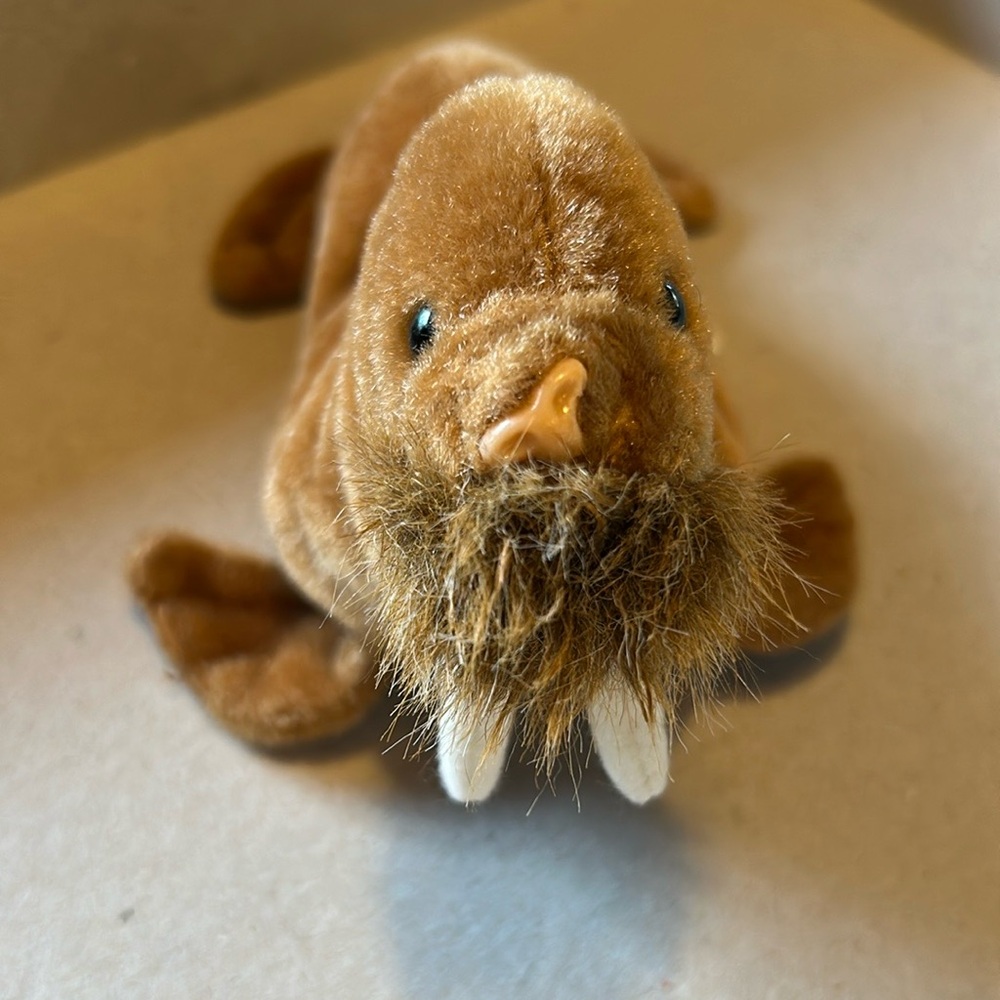 Ty Beanie “Paul” the Walrus